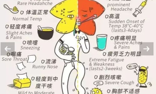 妇宁栓哈药集团世一堂制药厂-哈药妇宁栓主治什么网—知名的哈药妇宁栓是抗生素吗网站,分享葵花妇宁栓和哈药妇宁栓哪个好知识